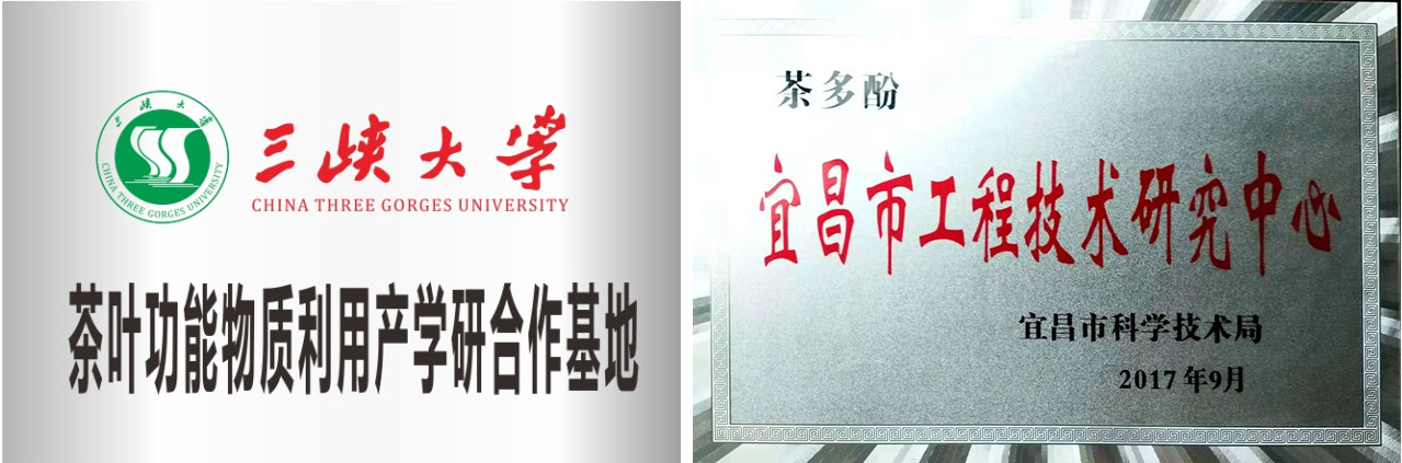 19_副本.jpg